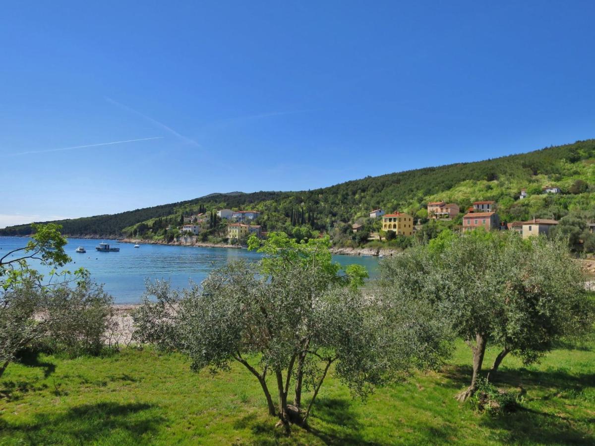 Apartament Palma - Lbn405 By Interhome Labin (Istria)